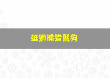 雄狮捕猎鬣狗