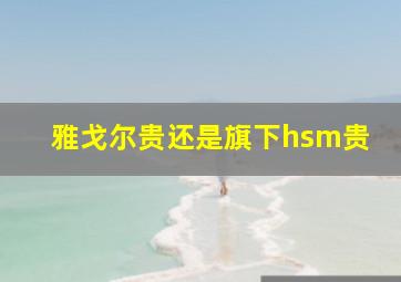 雅戈尔贵还是旗下hsm贵