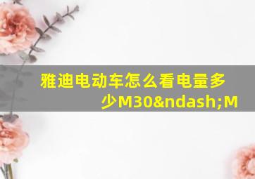 雅迪电动车怎么看电量多少M30–M