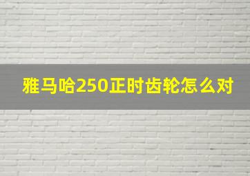 雅马哈250正时齿轮怎么对