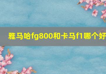 雅马哈fg800和卡马f1哪个好