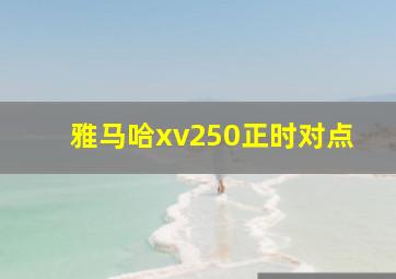 雅马哈xv250正时对点