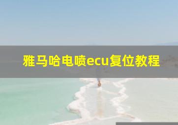 雅马哈电喷ecu复位教程