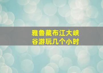 雅鲁藏布江大峡谷游玩几个小时