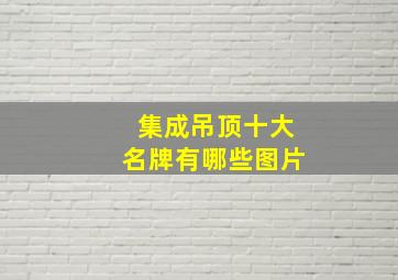 集成吊顶十大名牌有哪些图片