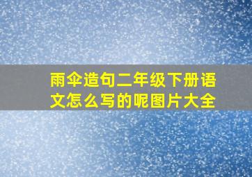 雨伞造句二年级下册语文怎么写的呢图片大全