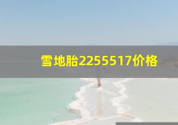 雪地胎2255517价格