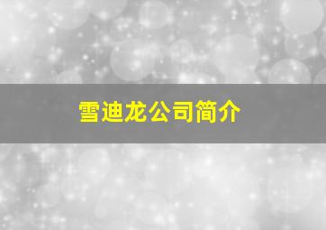 雪迪龙公司简介