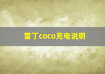 雷丁coco充电说明