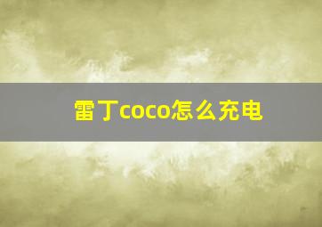 雷丁coco怎么充电