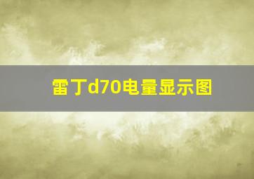 雷丁d70电量显示图