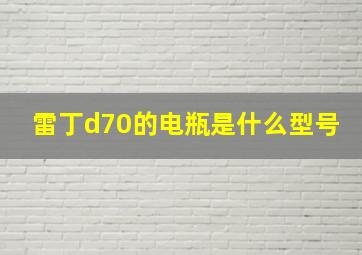 雷丁d70的电瓶是什么型号