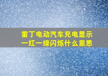 雷丁电动汽车充电显示一红一绿闪烁什么意思