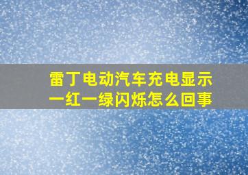 雷丁电动汽车充电显示一红一绿闪烁怎么回事