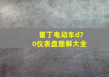 雷丁电动车d70仪表盘图解大全