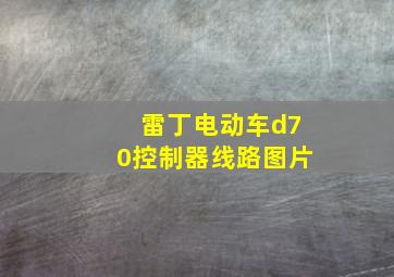 雷丁电动车d70控制器线路图片