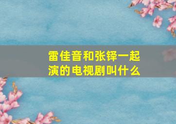 雷佳音和张铎一起演的电视剧叫什么