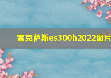 雷克萨斯es300h2022图片