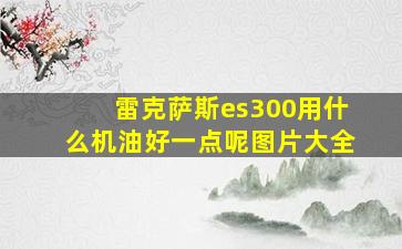 雷克萨斯es300用什么机油好一点呢图片大全