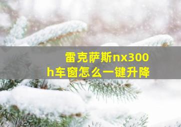 雷克萨斯nx300h车窗怎么一键升降