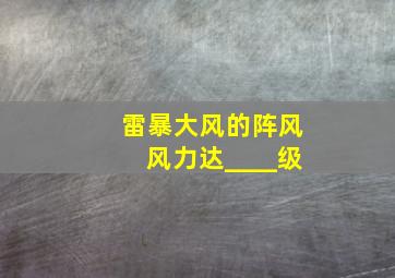 雷暴大风的阵风风力达____级