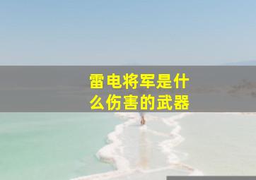 雷电将军是什么伤害的武器