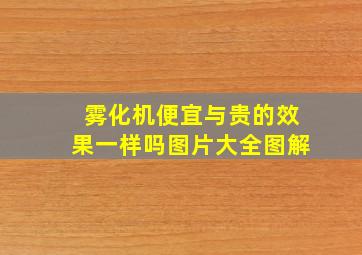 雾化机便宜与贵的效果一样吗图片大全图解