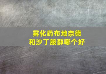 雾化药布地奈德和沙丁胺醇哪个好