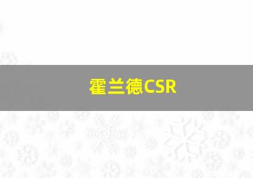 霍兰德CSR