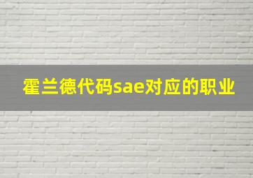 霍兰德代码sae对应的职业