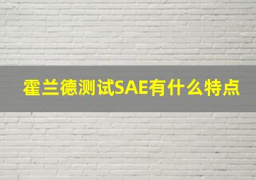 霍兰德测试SAE有什么特点