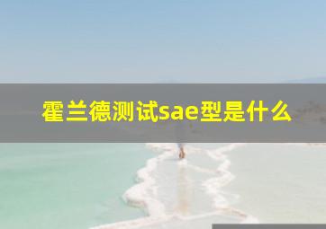 霍兰德测试sae型是什么