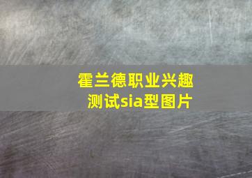 霍兰德职业兴趣测试sia型图片