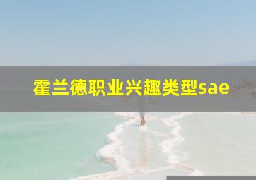 霍兰德职业兴趣类型sae