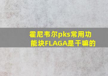 霍尼韦尔pks常用功能块FLAGA是干嘛的