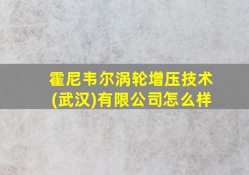 霍尼韦尔涡轮增压技术(武汉)有限公司怎么样