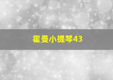 霍曼小提琴43