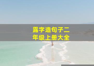 露字造句子二年级上册大全