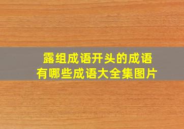 露组成语开头的成语有哪些成语大全集图片