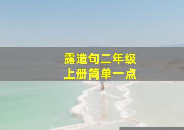 露造句二年级上册简单一点