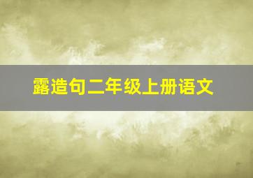 露造句二年级上册语文