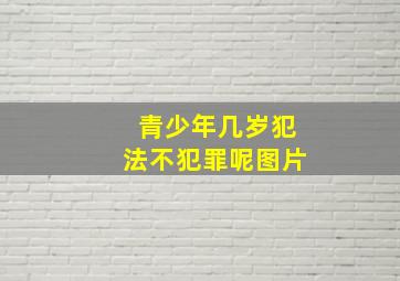 青少年几岁犯法不犯罪呢图片