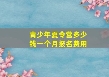 青少年夏令营多少钱一个月报名费用