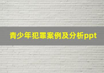 青少年犯罪案例及分析ppt