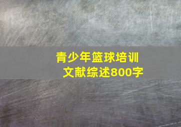 青少年篮球培训文献综述800字