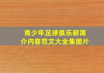 青少年足球俱乐部简介内容范文大全集图片