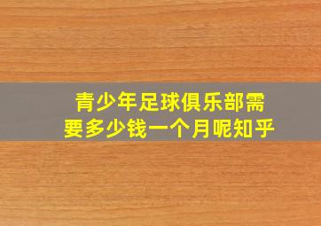 青少年足球俱乐部需要多少钱一个月呢知乎