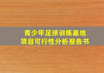 青少年足球训练基地项目可行性分析报告书