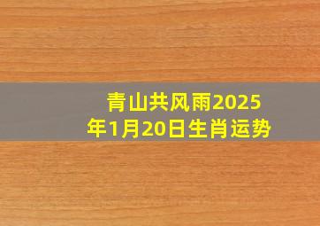 青山共风雨2025年1月20日生肖运势