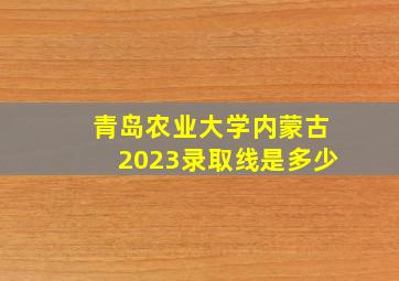 青岛农业大学内蒙古2023录取线是多少